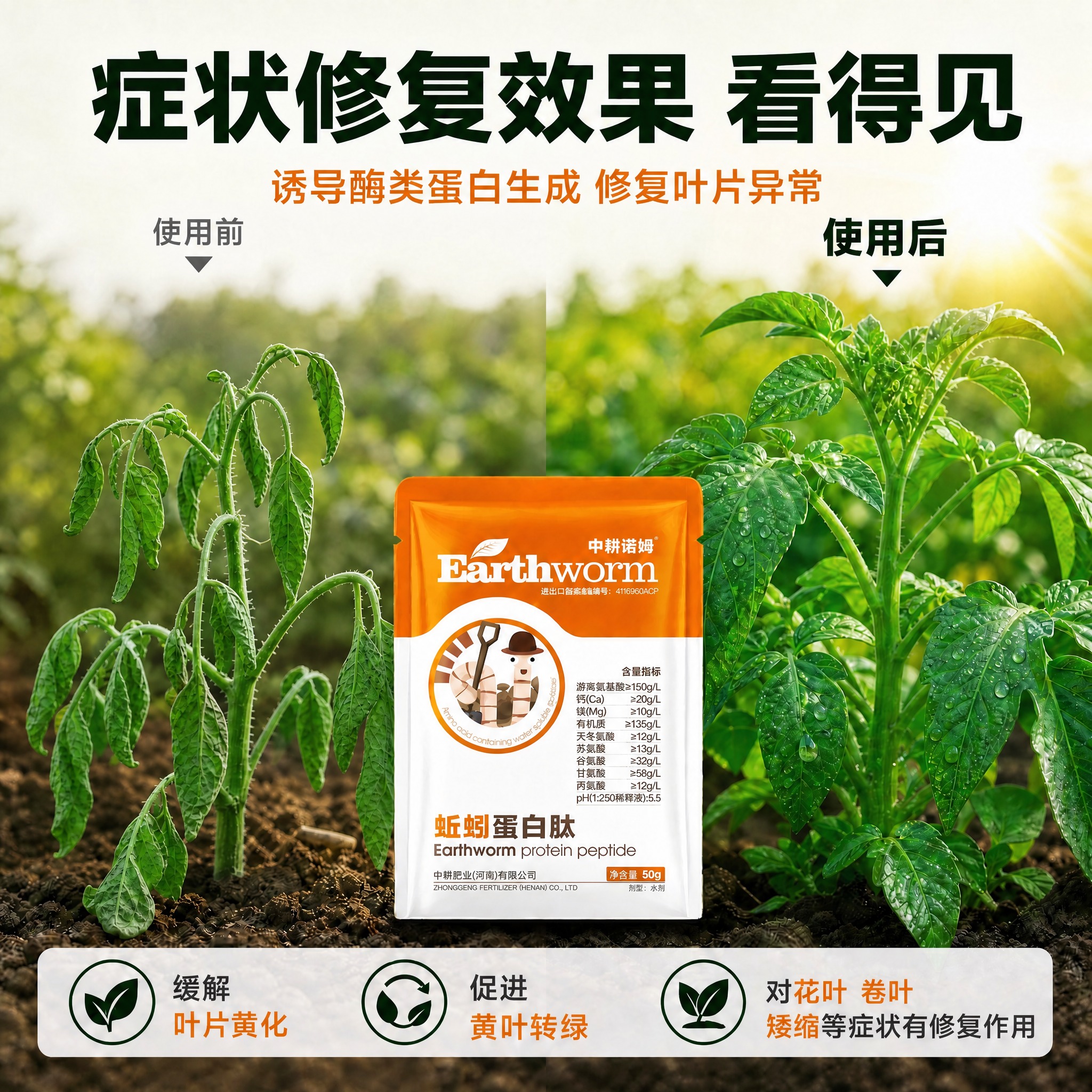保持左侧植物当前的萎蔫耷拉形态完全不变（叶片下垂、茎秆弯曲无力… - 图片创意预览