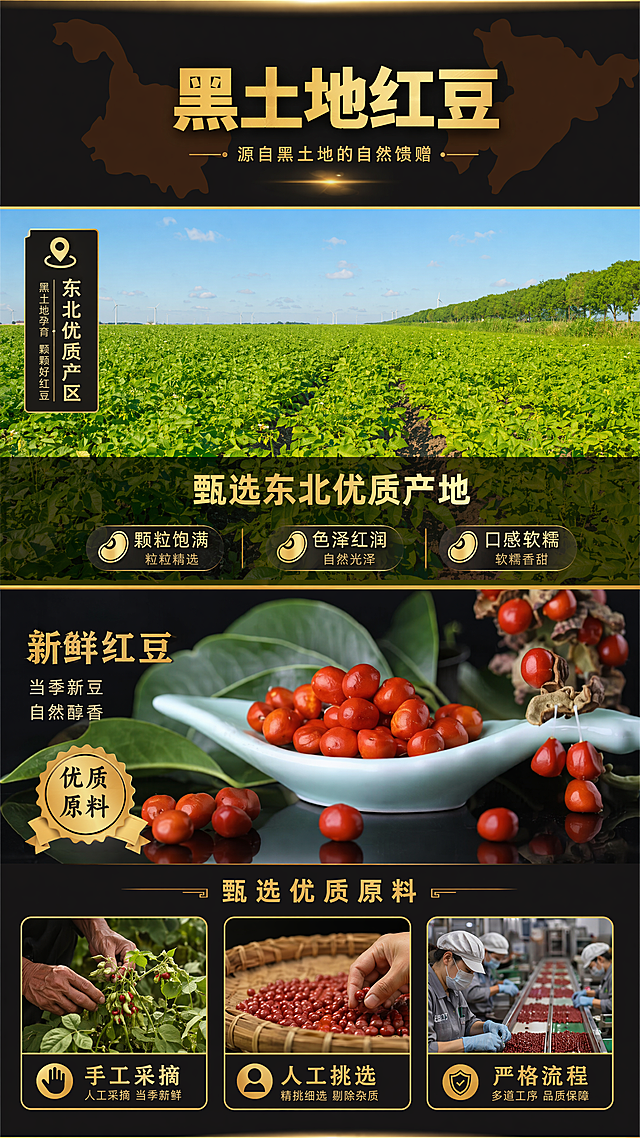 红豆罐头原料展示详情页，顶部标题黑土地红豆，内容展示东北红豆种植田和新鲜红豆原料，文字写甄选东北优质产地，卖点：颗粒饱满、色泽红润、口感软糯，甄选优质原料，手工采摘、人工挑选、严格流程，整体黑金暖色调，突出产品优质原料