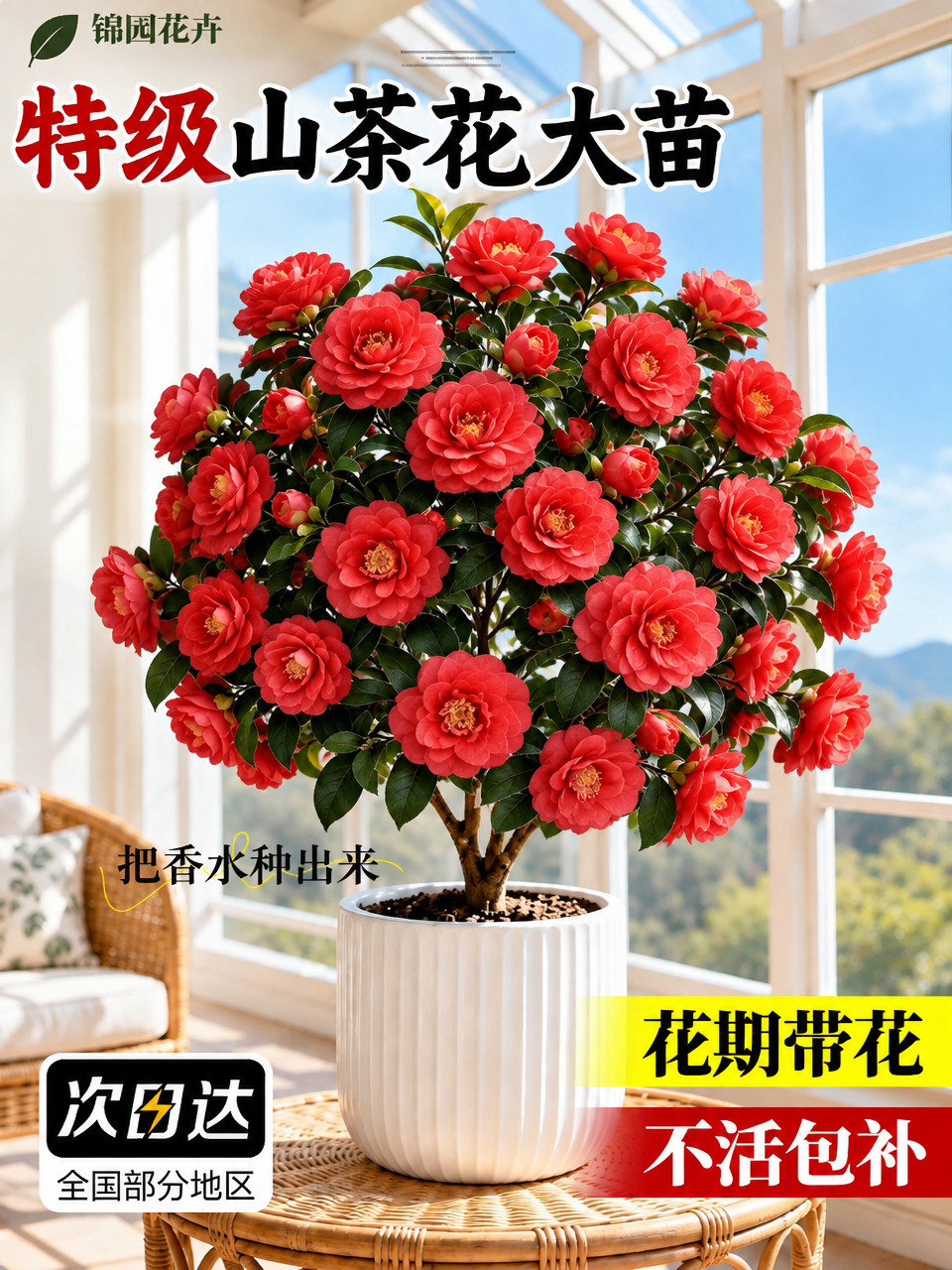 将图中盆栽上的所有花朵替换为红色山茶花，参考图中山茶花的形态、… - 图片创意预览