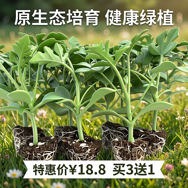 模板