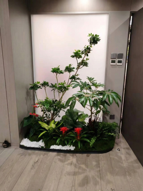 把这几张照片调成小红书适合的尺寸，把亮度也调亮一点预览效果
