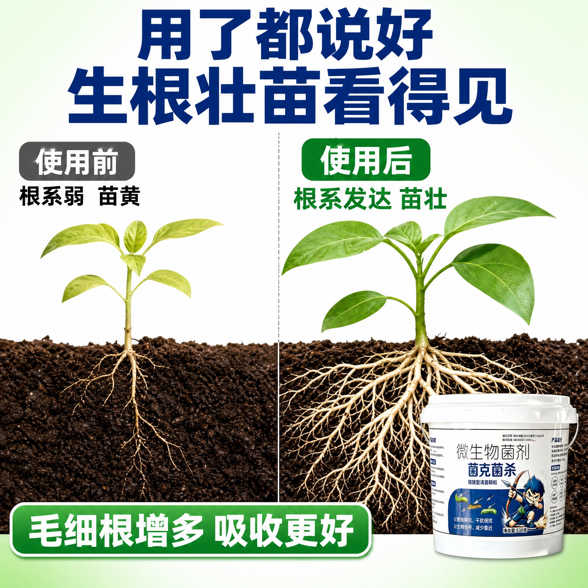 [主图-6] 生根壮苗效果对比图。 [统一基调] 拼多多风格… - 图片创意预览