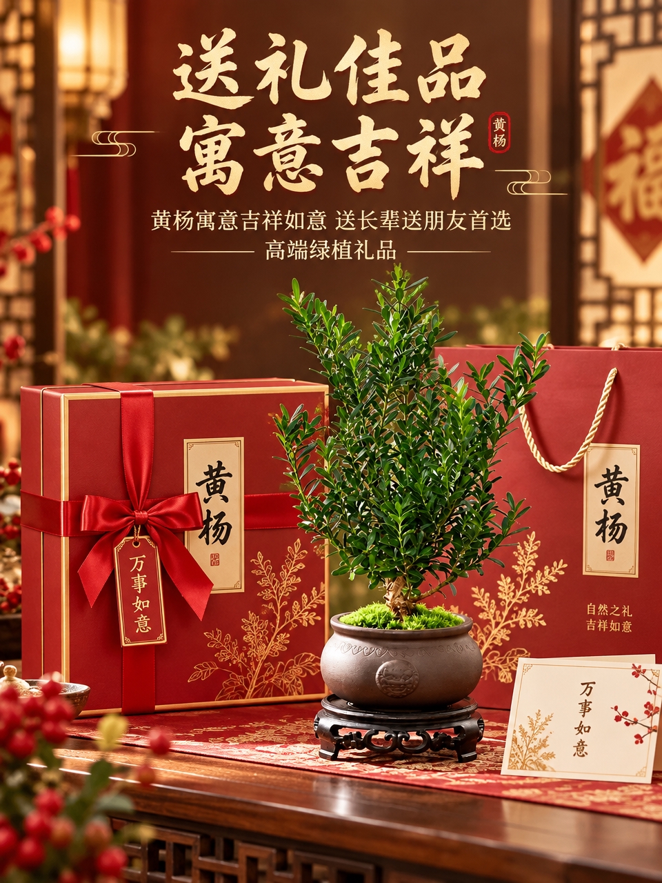 淘宝天猫电商主图第五张，3:4竖版，黄杨盆栽送礼场景，盆栽搭配… - 图片创意预览