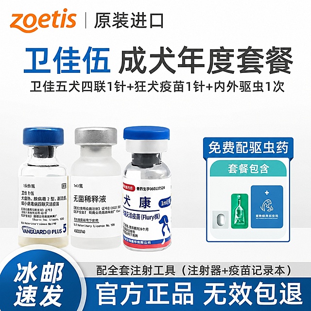 整体排版和布局完全不变，只修改文字颜色和边框颜色，让整体颜色搭配更协调干净，不需要添加任何额外的装饰元素，禁止添加猫爪及其他装饰图案