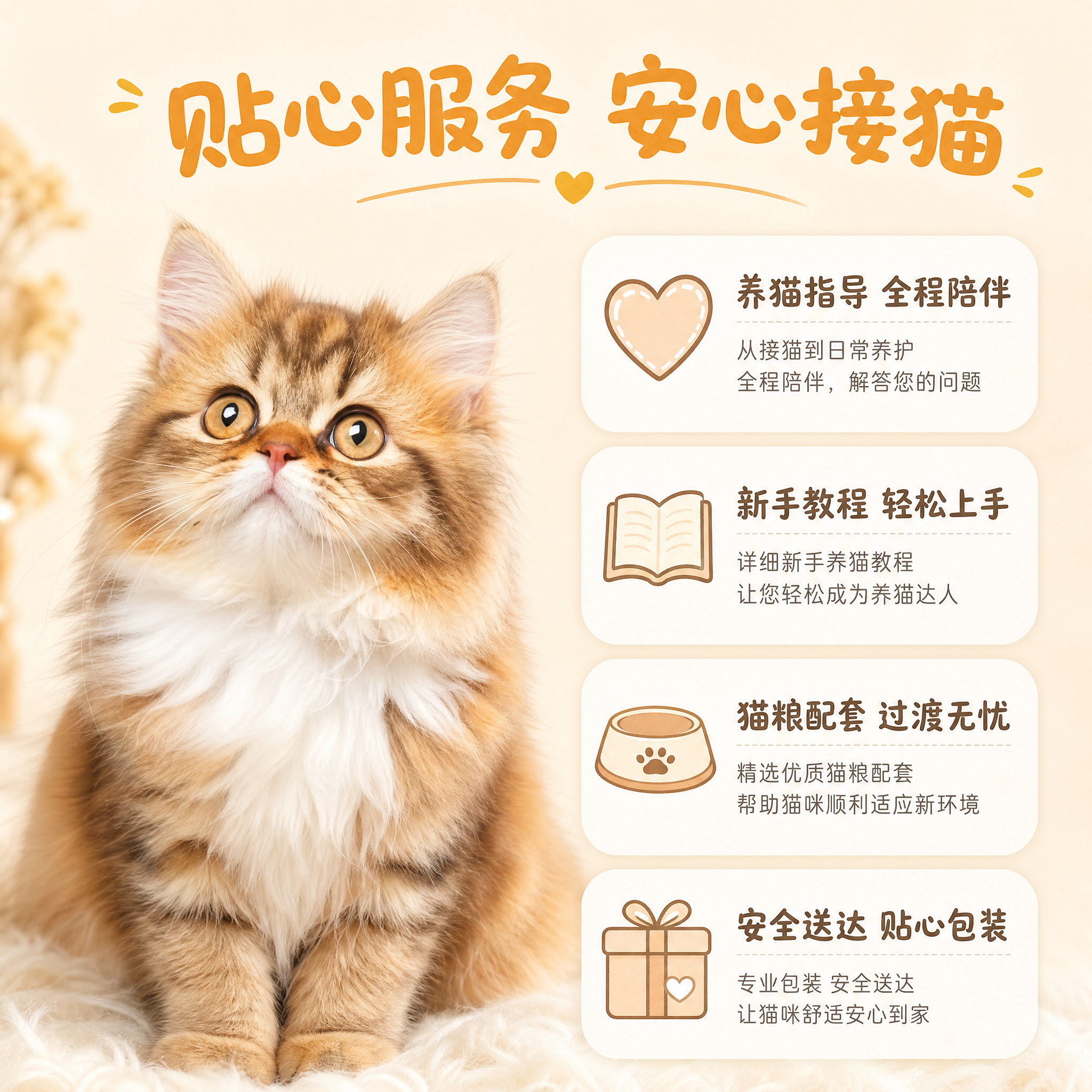 [主图-5] 养猫服务与保障信息图 [统一基调] 小红书原生感… - 图片创意预览