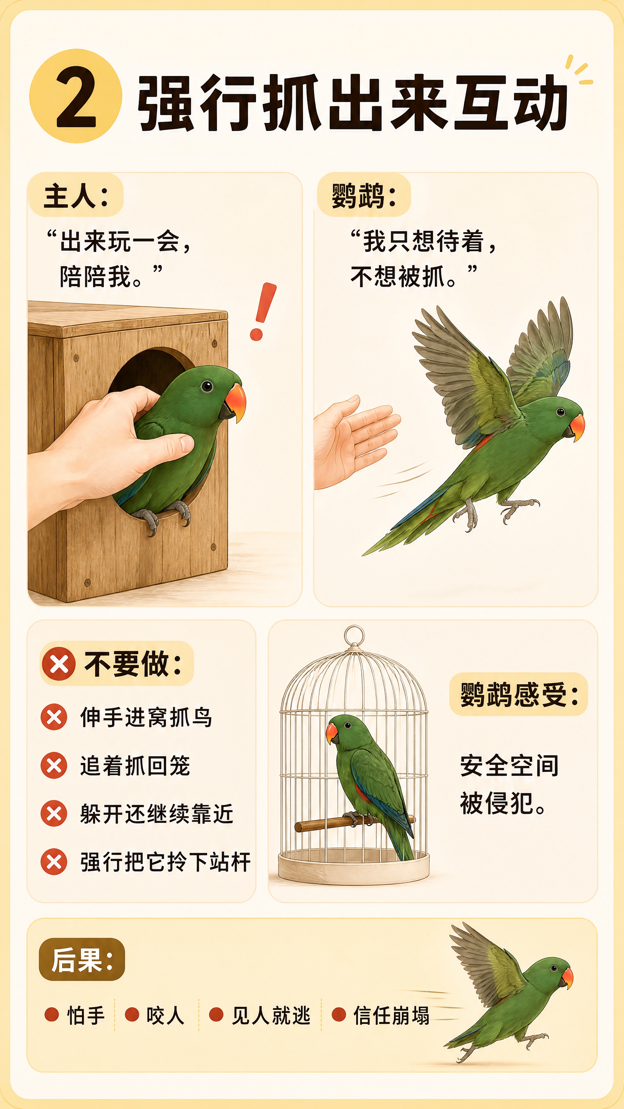 小红书宠物科普海报，插图大字，ins清新治愈风，版式精美，小红… - 图片创意预览