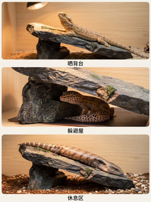 3:4竖版爬宠使用场景合集图，拼图排版，背景为浅原木色，分三格展示不同场景：①守宫躲在这款爬宠晒台缝隙里当躲避屋；②鬃狮蜥趴在这款爬宠晒台顶端晒背；③蓝舌石龙子趴在这款爬宠晒台上休息；每格下方添加小标预览效果