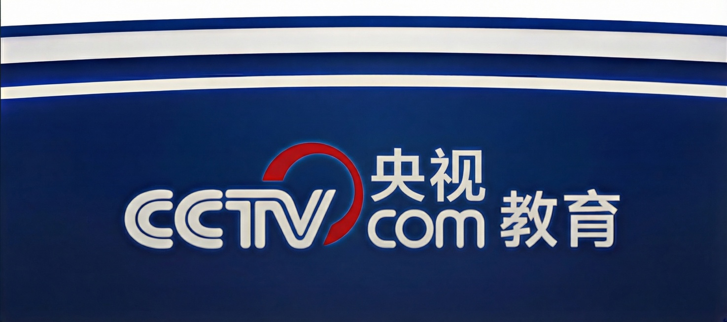 将图中的“央视网”替换为“央视”，其余元素保持不变预览效果