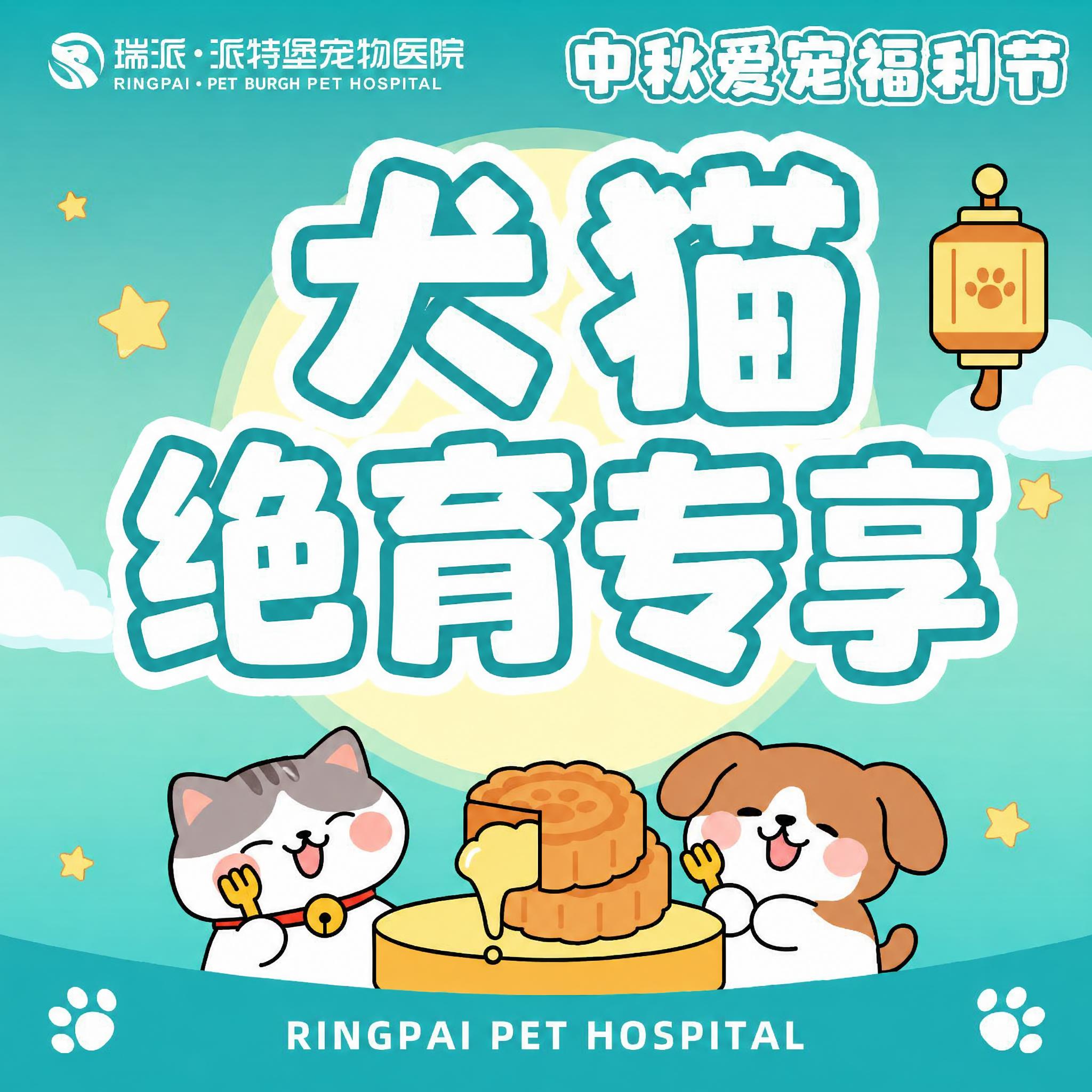 将图片中间的大字'犬猫超声刀'修改为'犬猫绝育专享'，保持字体… - 图片创意预览