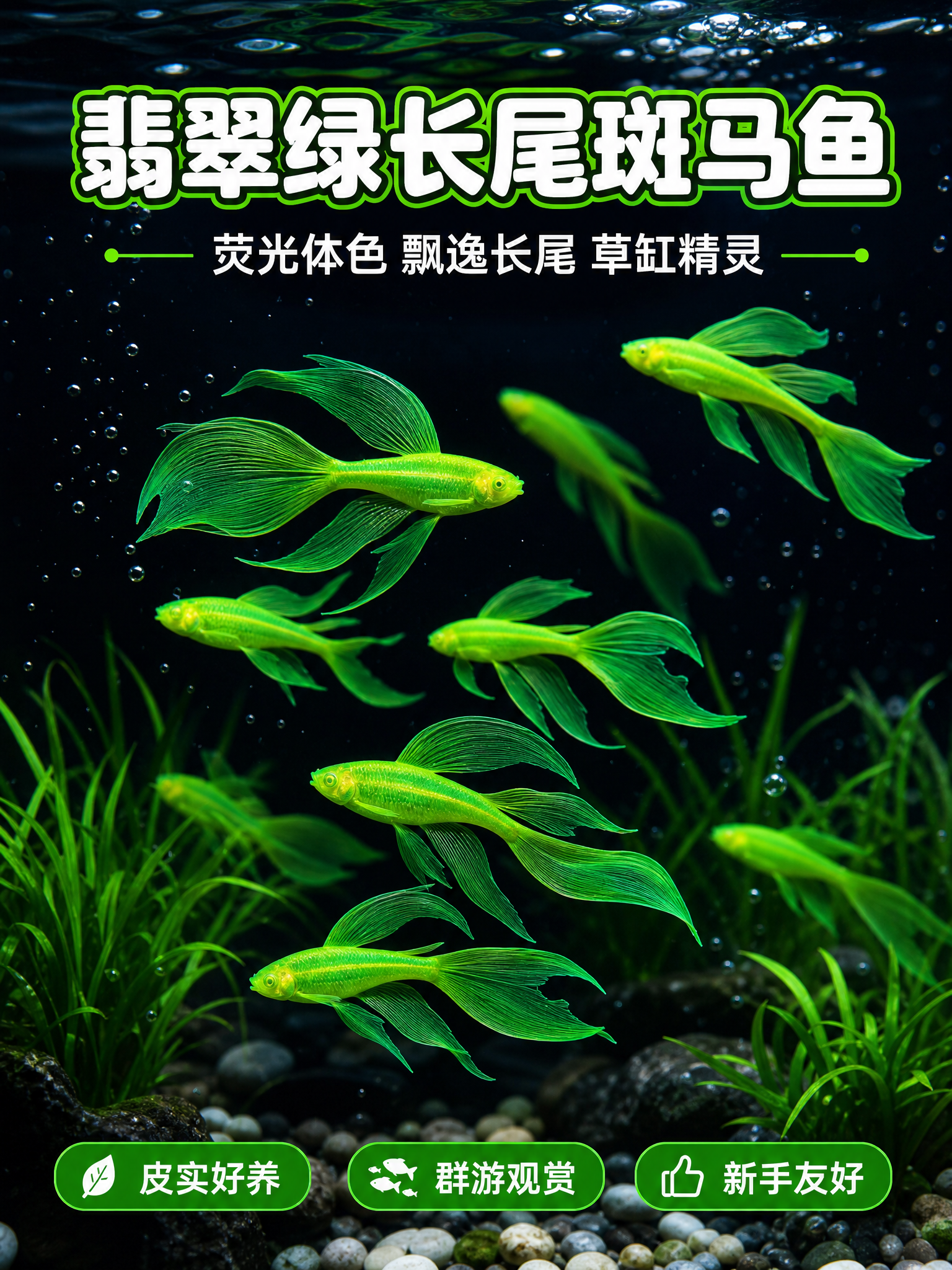 [商品] 使用【图1】翡翠绿长尾斑马鱼；保留荧光翡翠绿体色、飘… - 图片创意预览
