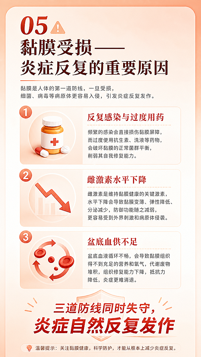 微信公众号竖版图文内页，健康科普风格。标题：「05 黏膜受损——炎症反复的重要原因」。三个原因纵向排列，每个配图标：1. 反复感染与过度用药（药瓶图标）2. 雌激素水平下降（下降箭头图标）3. 盆底血供不足（血液循环图标）。背景：浅橙红色渐变，警示感但不刺眼。底部大字总结：「三道防线同时失守，炎症自然反复发作」。整体氛围：警示但不焦虑、理性分析。版式精美，信息层级清晰，文字清晰可读，四周留安全边距。画面比例 9:16，4K。