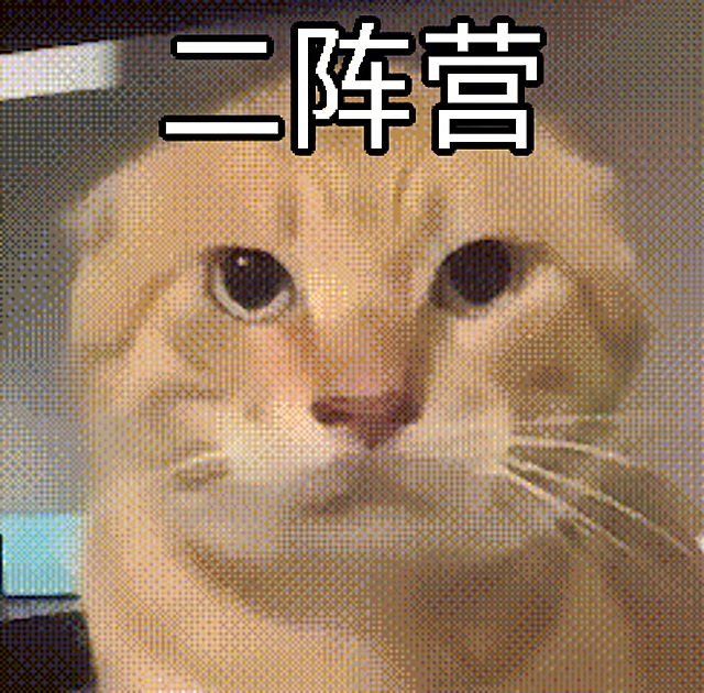 在猫猫的头顶位置添加文字“二阵营”，保留图片原有的猫咪形象和像素风格