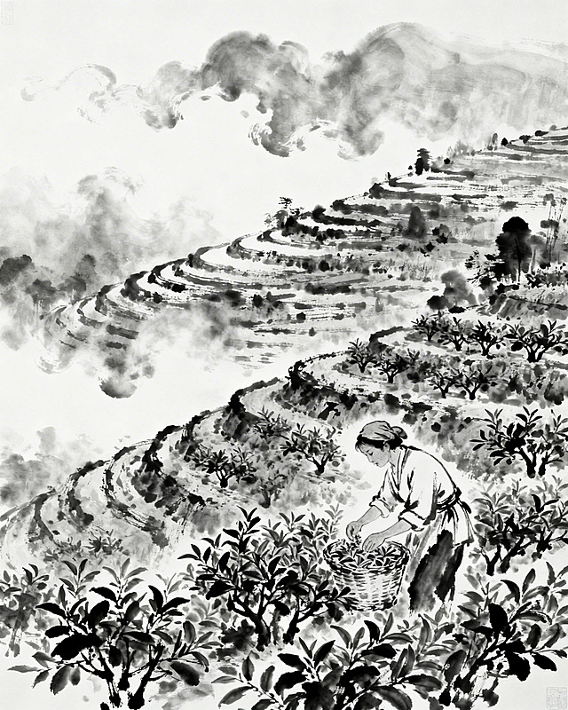 生成黑白水墨风格茶山 茶树 有一个人在采茶意境图