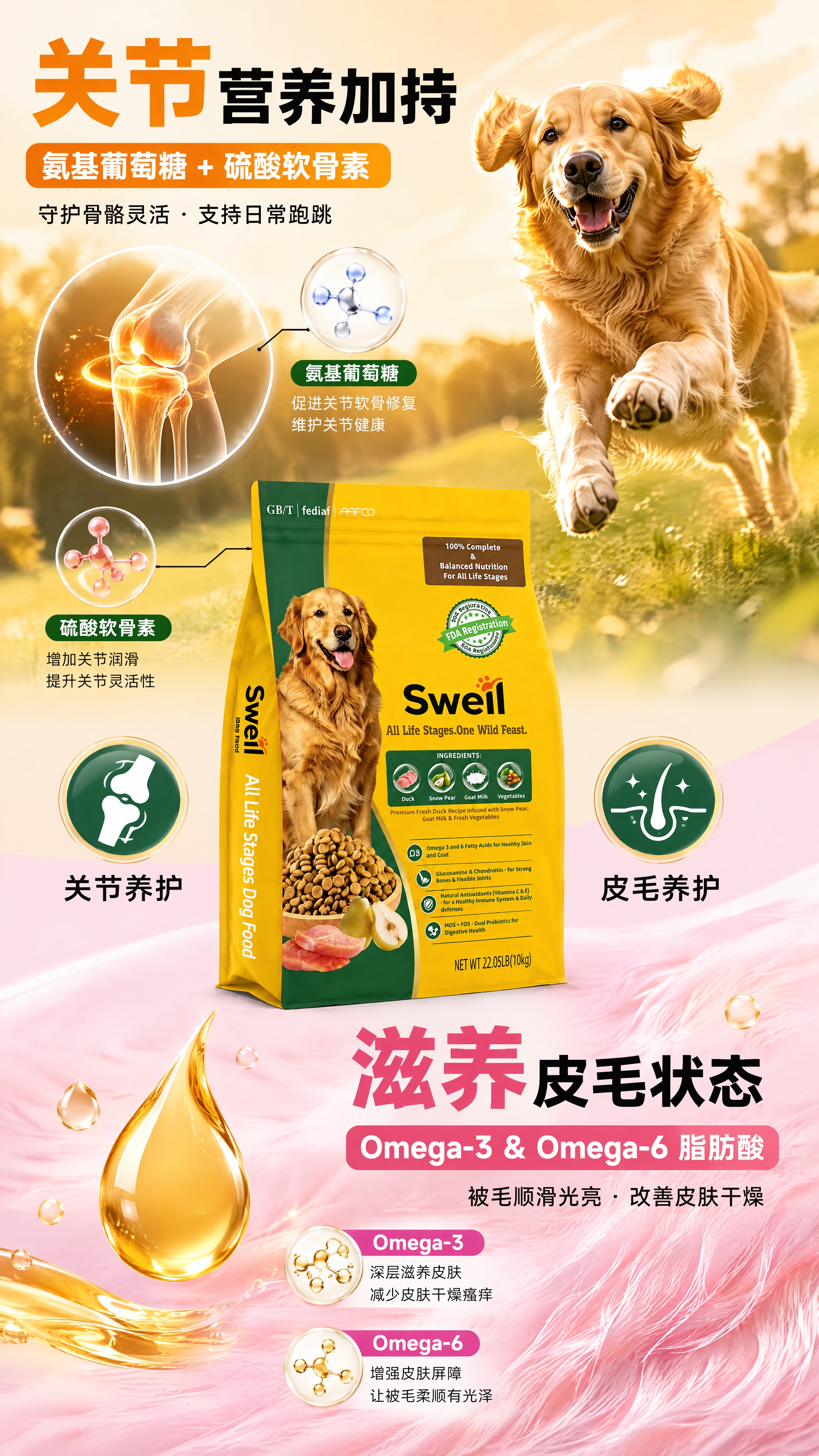 [第6张] 关节+皮毛双效养护卖点页 - 氨基葡萄糖软骨素+O… - 图片创意预览
