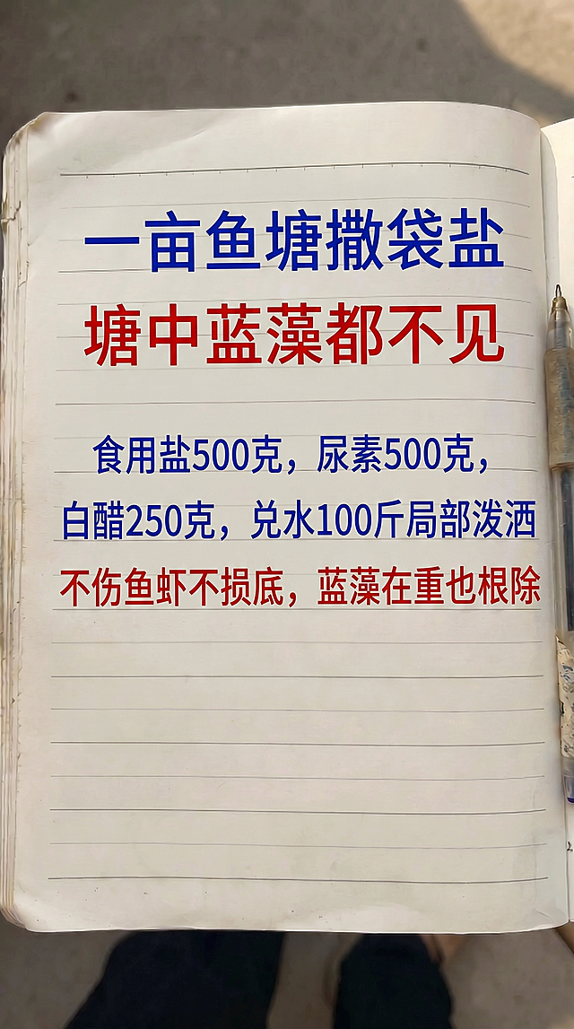 参照提供图片的字体、颜色，保持背景为浅米色横条纹，用以下内容替换原有文字，一字不差，排版布局合理：
蓝色文字：一亩鱼塘撒袋盐
红色文字：塘中蓝藻都不见
蓝色文字：食用盐500克，尿素500克，白醋250克，兑水100斤局部泼洒
红色文字：不伤鱼虾不损底，蓝藻在重也根除