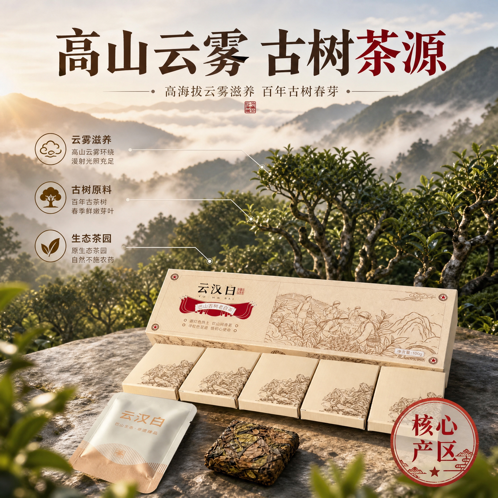 [主图-2] 核心亮点与溯源，主题：高山云雾古树茶产地溯源，突… - 图片创意预览