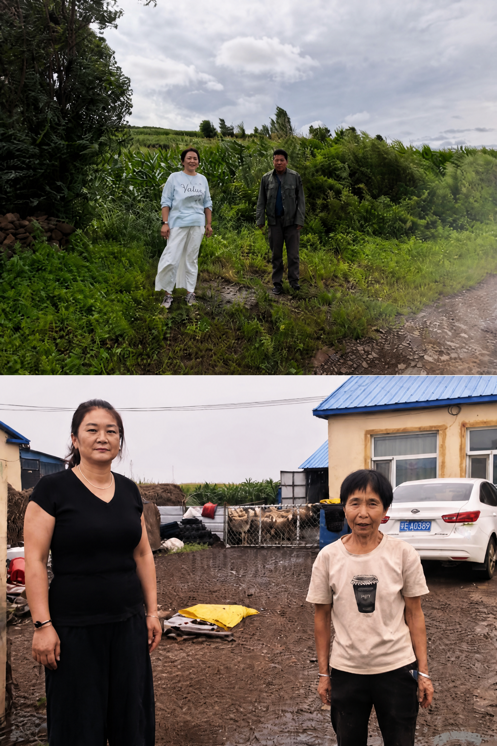 去除图片中所有白色文字水印（经度、纬度、坐标系、地址、时间、海… - 图片创意预览