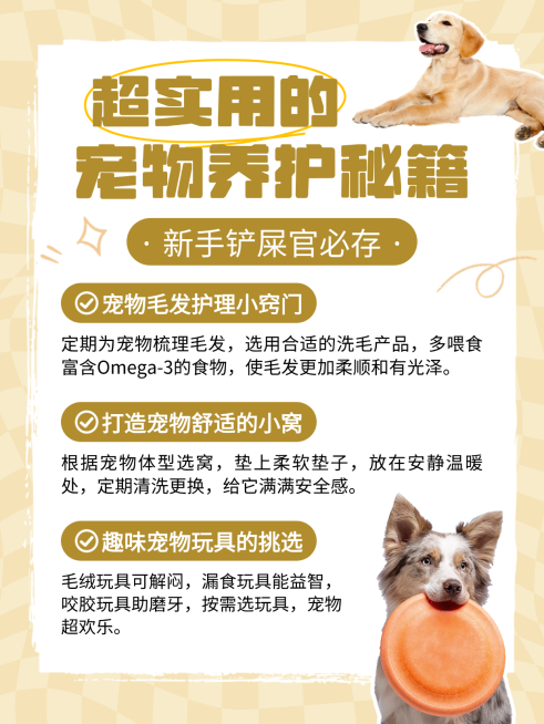简约宠物养护秘籍知识分享小红书配图预览效果