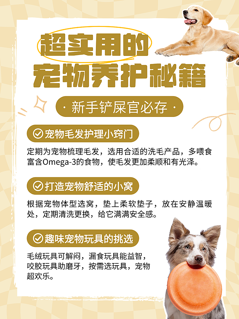 简约宠物养护秘籍知识分享小红书配图