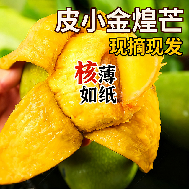 皮小金煌芒，核薄如纸、现摘现发，适配抖音平台，展示芒果核薄如纸的细节，突出产品卖点，新鲜水果摄影风格