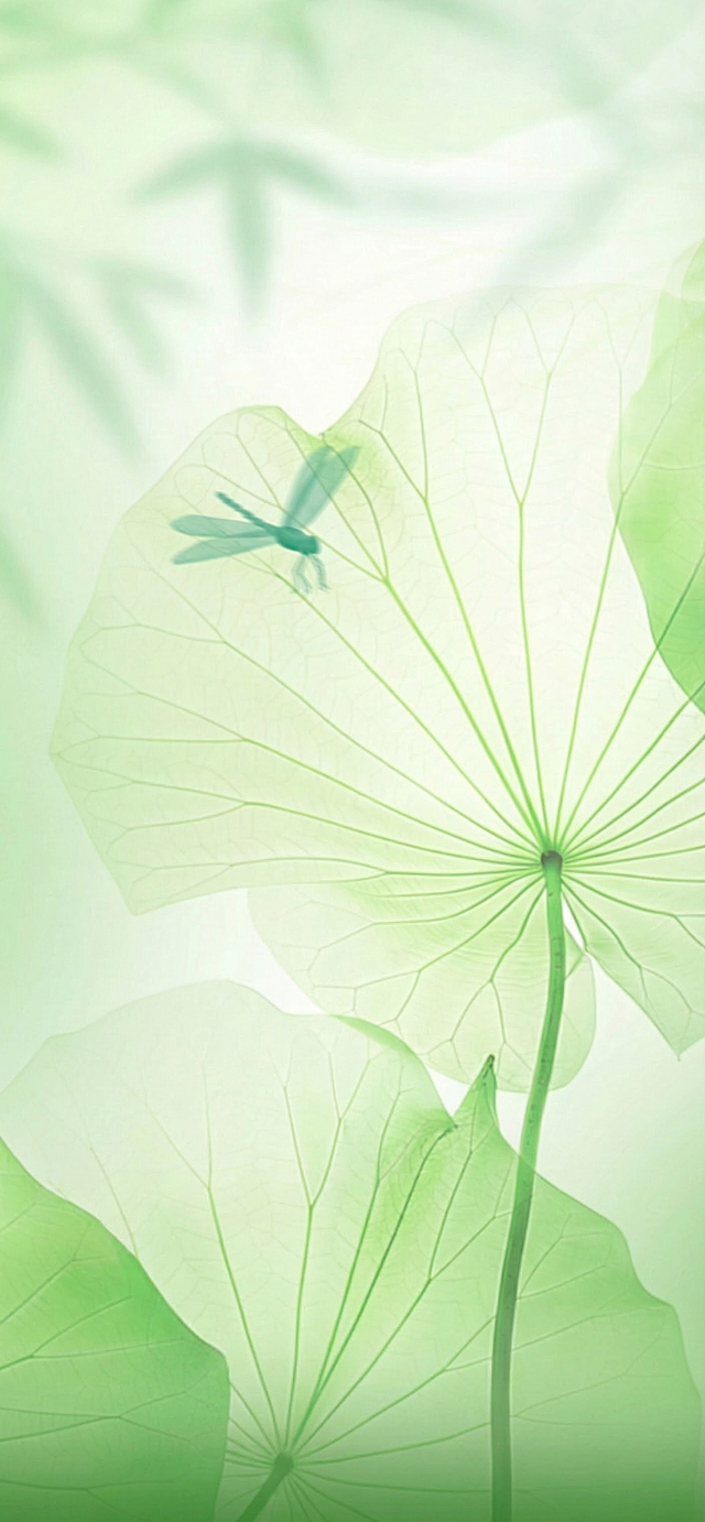 把图上面文字和英文全部去掉