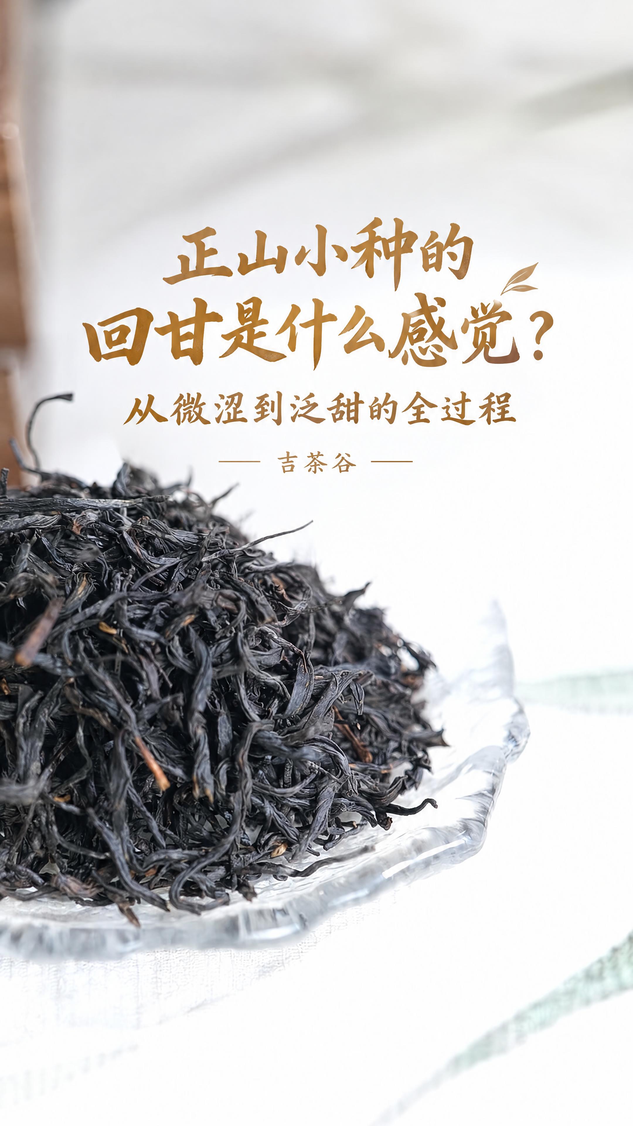 基于这张正山小种干茶原图进行修改，背景完全原样保持不变，适配抖… - 图片创意预览