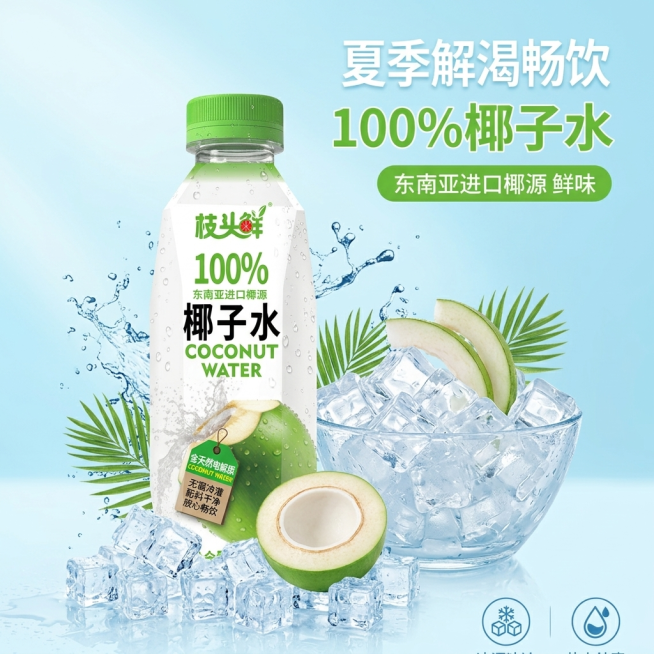 枝头鲜100%椰子水600ml，夏季解渴畅饮场景，展示整瓶椰子水搭配冰块和青椰切片，夏日清爽蓝色背景，突出解渴消暑，适合聚会运动场景，构图干净，1000X1000PX正方形电商主图预览效果