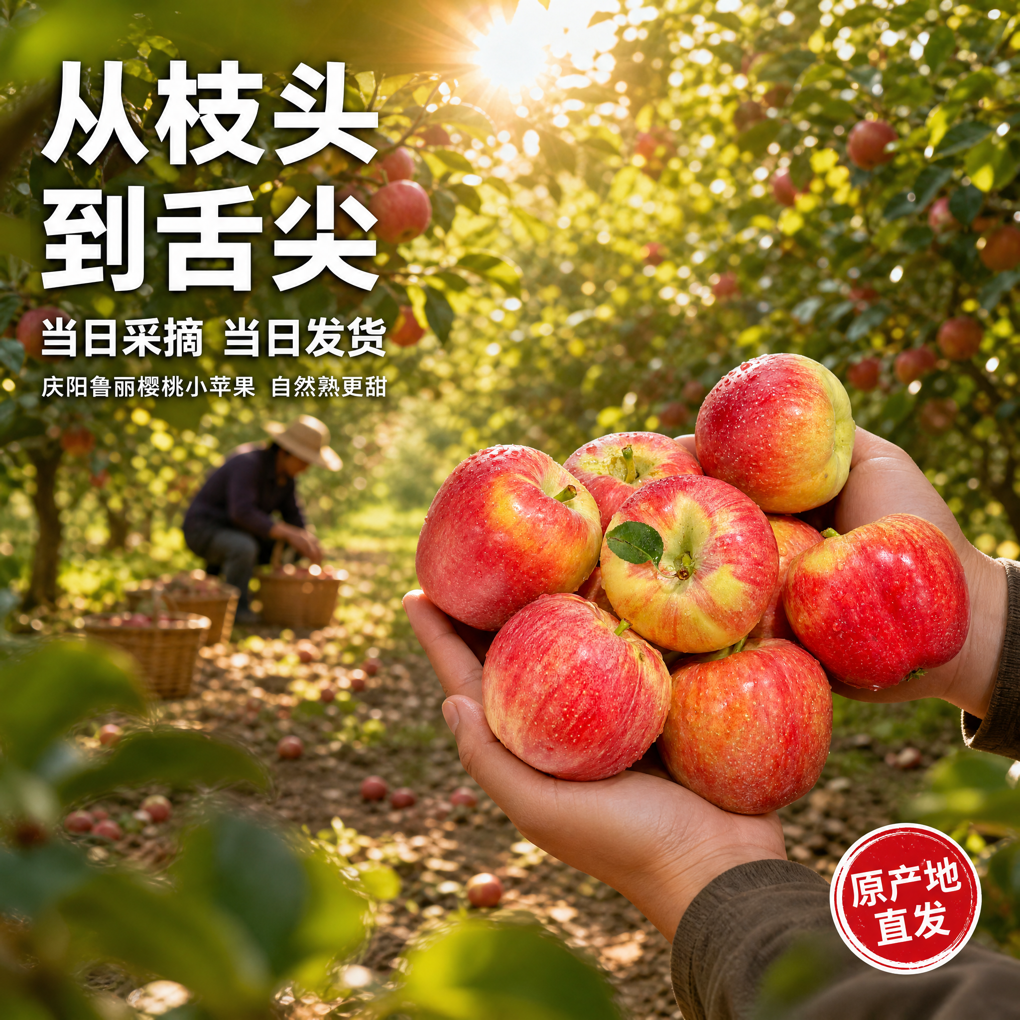 [主图-6] 庆阳鲁丽樱桃小苹果果园采摘场景氛围图。[氛围风格… - 图片创意预览