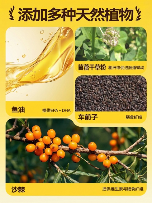「图片1」「图片1」「图片1」「图片1」「图片1」「图片1」「图片1」「图片1」把这8张图给我改成3：4预览效果