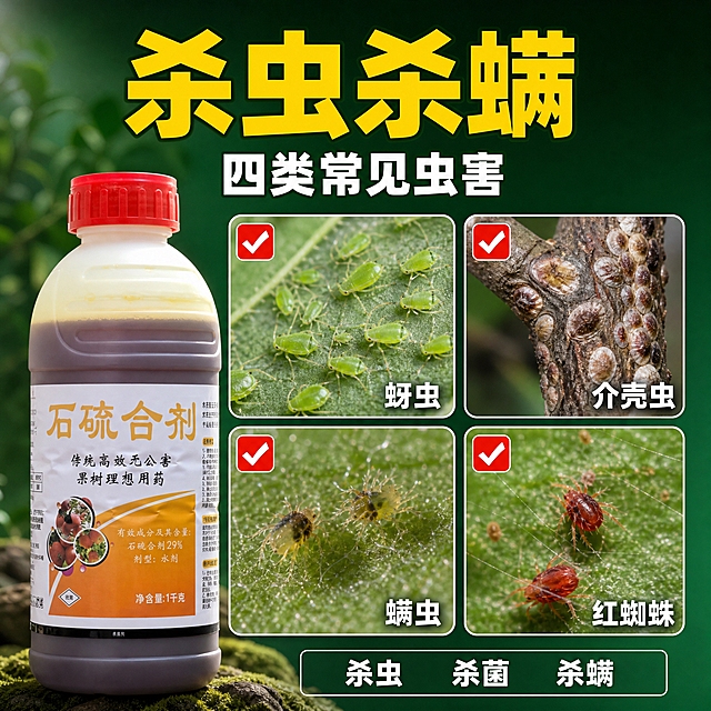 [主图-3] 石硫合剂（1000克 水剂 清园专用）主题与唯一任务：杀虫杀螨虫害清单。用虫害实物特写说明本品的适用对象 本张只讲虫与螨 不讲病害 版式与上一张明显不同。
[统一基调] 整体风格为拼多多农资大字直给式信息图 高对比强视觉冲击；背景主色为深墨绿渐变 由#0B3A22过渡到#17703F 叠压虚化的果园清园氛围；标题字色亮黄#FFD200 加粗黑体 带极细深绿描边；辅助字色纯白；强调色正红#E63127；全套只用一种粗黑体 靠字号层级区分 不混用衬线体手写体 不拉伸不变形；组件样式统一为白色圆角卡片 红色方形打勾图标 细白描边标签；主光方向统一来自左上方。
[画面] 上下分层满版构图。顶部为两行主标题带 下方为2x2四宫格排布的白色圆角卡片 每格内嵌一张害虫或螨类的真实微距特写小图 左上角一个红色方形打勾图标 右下角白色标签文字 四格依次为「蚜虫」「介壳虫」「螨虫」「红蜘蛛」；特写小图为叶背与枝条上的绿色蚜虫群、枝干上褐色介壳虫、叶面细小螨类与细密蛛网、叶片上红色红蜘蛛 真实自然微距质感 不夸张不血腥。画面左下角为产品瓶体 微仰视摆放 占比约30% 瓶身完整不切割 保持透明圆肩塑料瓶、红色螺旋瓶盖、上层浅黄色膏状层、下层深棕红液体、白色标签与橙色底部色带 与输入图完全一致。底部用一条半透明深绿细白描边悬浮条 内排三个白色小字标签「杀虫」「杀菌」「杀螨」 不使用大面积厚重色块。
[光影质感] 影棚左上方方向性主光 瓶体曲面高光通透 卡片与悬浮条轻微投影 虫害小图用自然柔和侧光 细节清楚。
[配色] 沿用深墨绿背景 亮黄主标题 纯白辅助字 正红强调色与打勾图标 虫害小图保留自然植物与虫体本色作为环境色。
[文字版式] 顶部主标题大字「杀虫杀螨」亮黄#FFD200 加粗黑体 字号最大 约占画面宽度一半；标题下方白色小字一行「四类常见虫害」；四宫格内名称文字用白色粗黑体 字号小于主标题50%以上；底部悬浮条内文字白色小字 词与词之间用空格不用逗号；所有文字横排。
[输出要求] 1:1 正方形构图 文字与虫害特写清晰 产品清晰不变形 无错字。负向：虫体夸张恶心 虚构功效 产品变形 主体模糊 文字压扁 水印 平台Logo 杂乱排版。