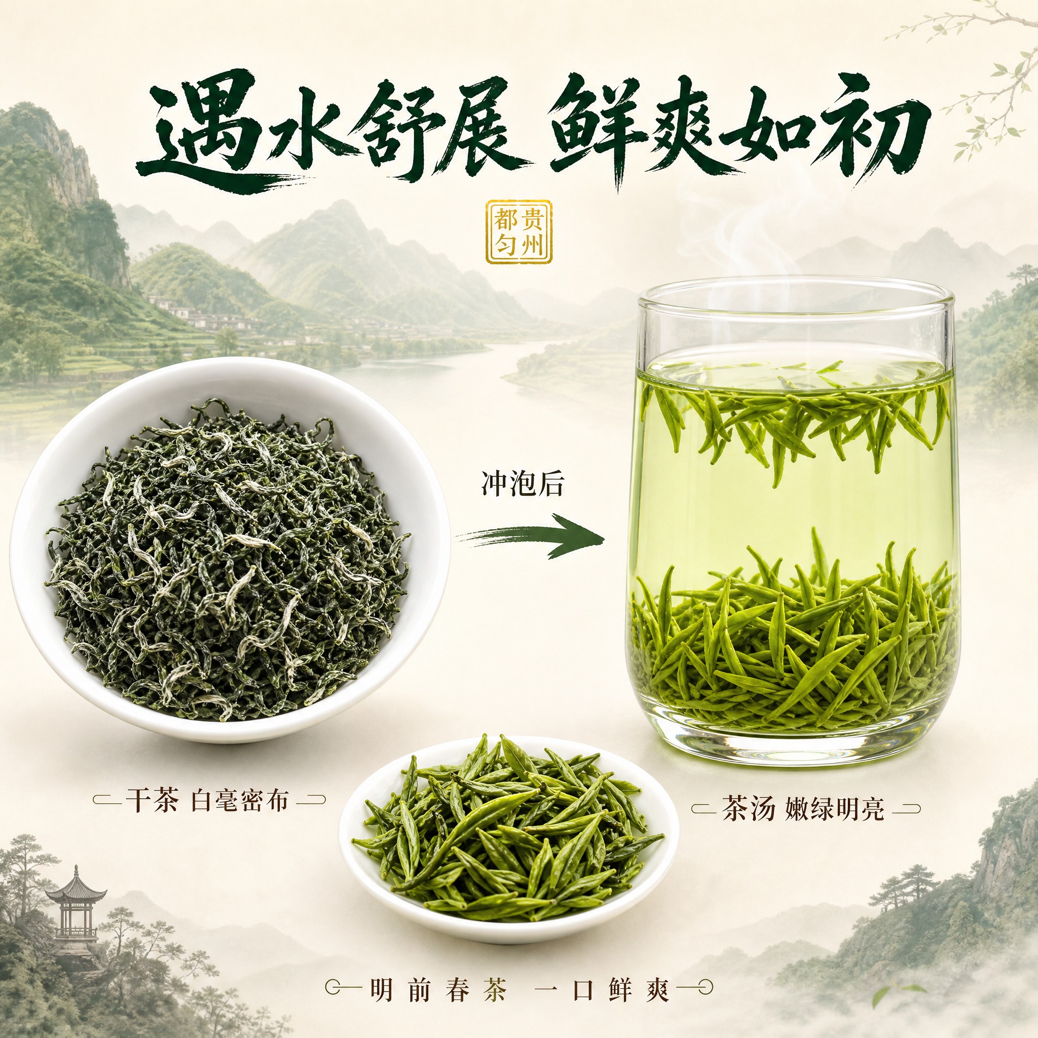 [主图-3] 都匀毛尖冲泡效果对比图，展示干茶与茶汤的转化，直… - 图片创意预览