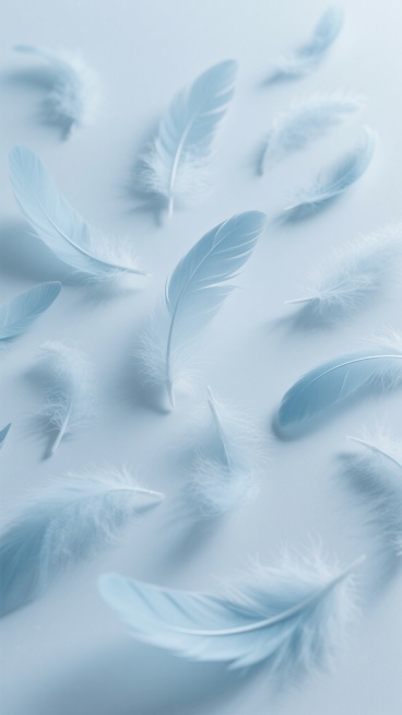 轻盈飘逸的羽毛，形态各异，有的完整舒展，有的轻盈破碎，以散落的方式分布在纯净的白色背景上，羽毛边缘呈现柔和的渐变过渡，整体具有细腻的线条感和半透明的质感，营造出宁静、空灵、梦幻的氛围，画面整体色彩变换为柔和的淡蓝色调，保持原有的羽毛形态、分布方式、线条质感和空灵氛围。预览效果