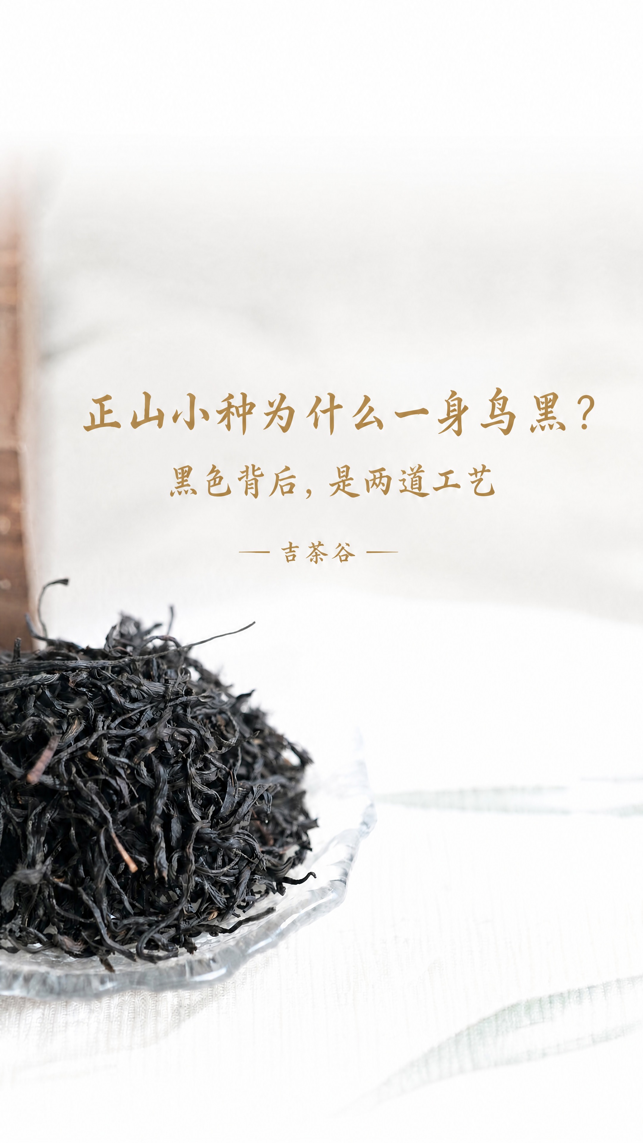 基于这张正山小种茶叶封面图修改，背景、构图、字体、颜色、排版、… - 图片创意预览