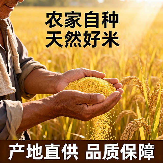 我的产品是山西黄小米 帮我做20张拼多多主图  突出产品