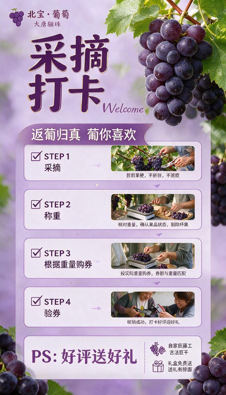 未命名(1 - 图片创意预览