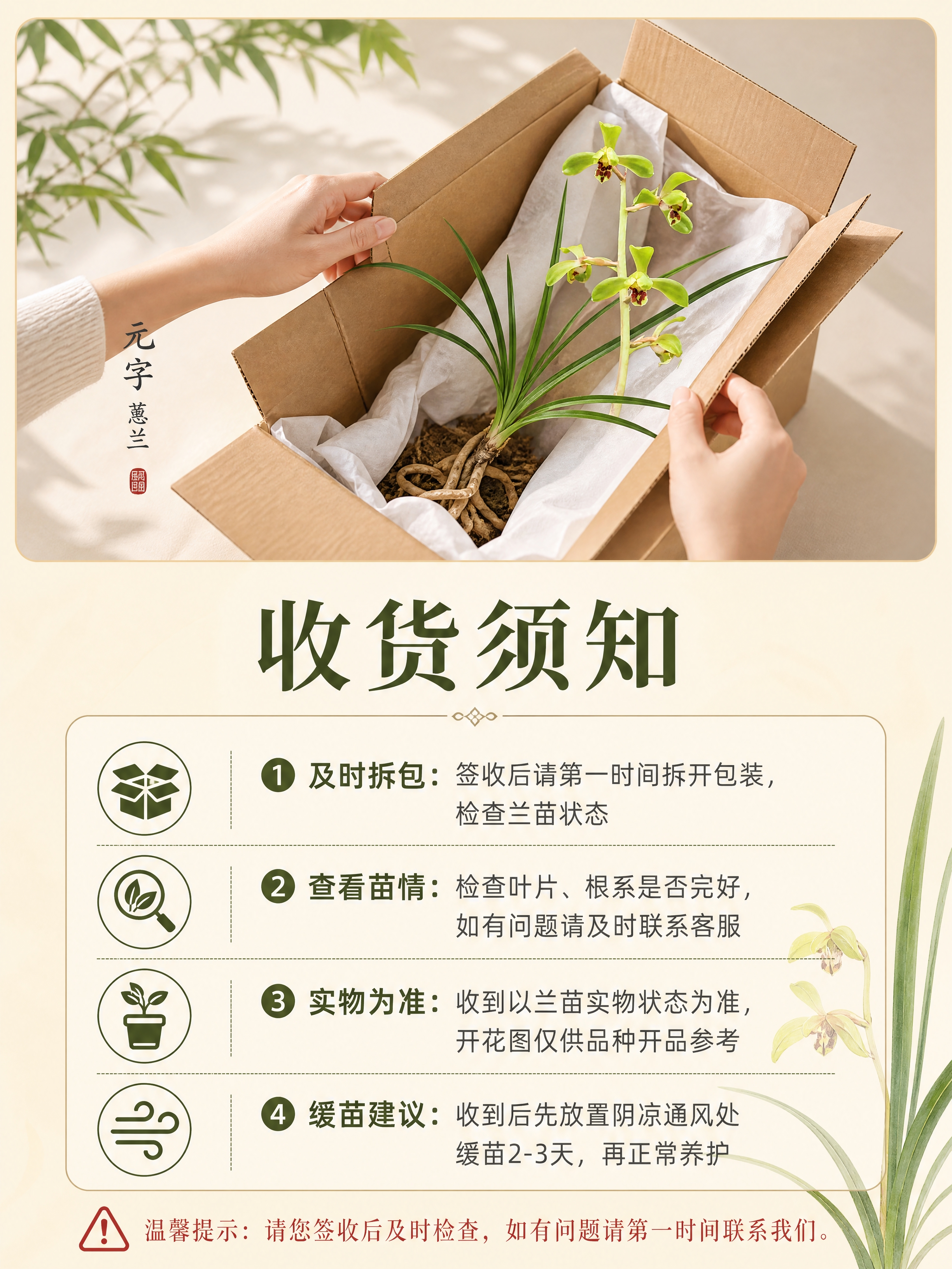 [商品] 使用【图1】蕙兰元字兰花图；保留兰叶形态，画面中展示… - 图片创意预览