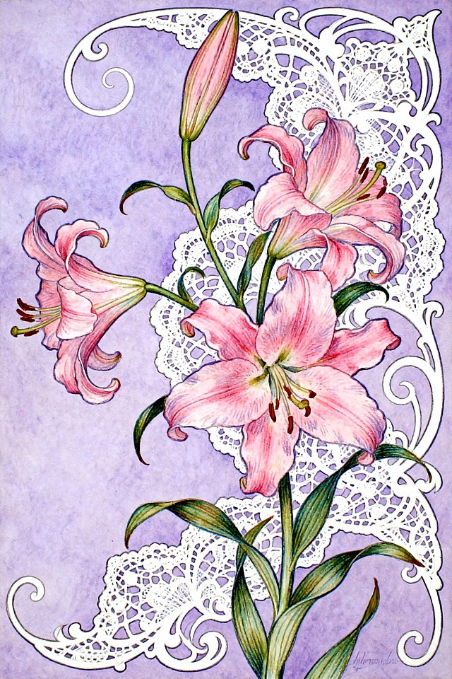 唯美浪漫的工笔水彩风插画，粉红百合与蕾丝边框交织，柔美梦幻，清新优雅，尽显节日温馨氛围。