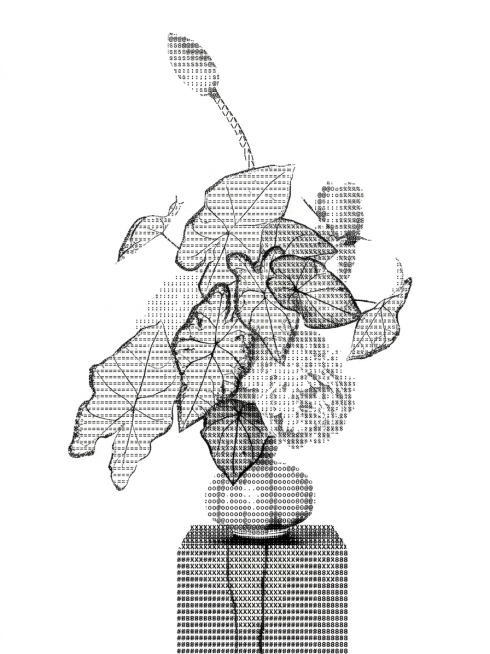 将图片变成字母为主的ASCII风格图片，字母有序排列，背景为白色，字母为黑色预览效果