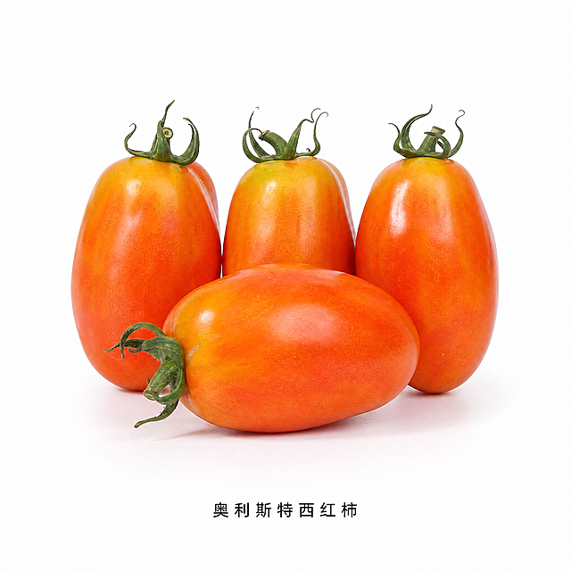 [主图-2] 产品白底图 奥利斯特西红柿纯白背景展示。
[氛围风格] 纯净白底 产品真实清晰 电商标准白底图。
[画质] 商业摄影质感 光线均匀 西红柿细节清晰 边缘干净。
[元素] 画面中央摆放3-4颗奥利斯特西红柿 错落有致 其中一颗侧放展示完整形状 带绿色果蒂 表皮呈橙红色渐变 自然纹理清晰 表面光滑带自然光泽。保持西红柿外观形状颜色质感与输入产品图完全一致 杜绝变形和色差 精细化处理。纯白背景 产品底部有自然柔和投影 无悬浮感。商品主体占比约70%。
[光影] 顶部柔光箱均匀布光 左右辅光补亮 阴影柔和自然 产品立体感强 高光不过曝。
[配色] 主色纯白背景 产品色暖橙红 果蒂鲜绿。
[视角构图] 正面平视 居中构图 产品完整不裁切。
[文字版式] 画面底部居中位置 小字黑色"奥利斯特西红柿" 简洁不抢主体。
[输出要求] 1:1比例 800x800 文字清晰 超高清商业摄影质感 纯白背景。
[负向提示词] 变形 文字错乱 产品模糊 背景杂乱 水印 电商平台Logo 阴影过重 背景发灰。