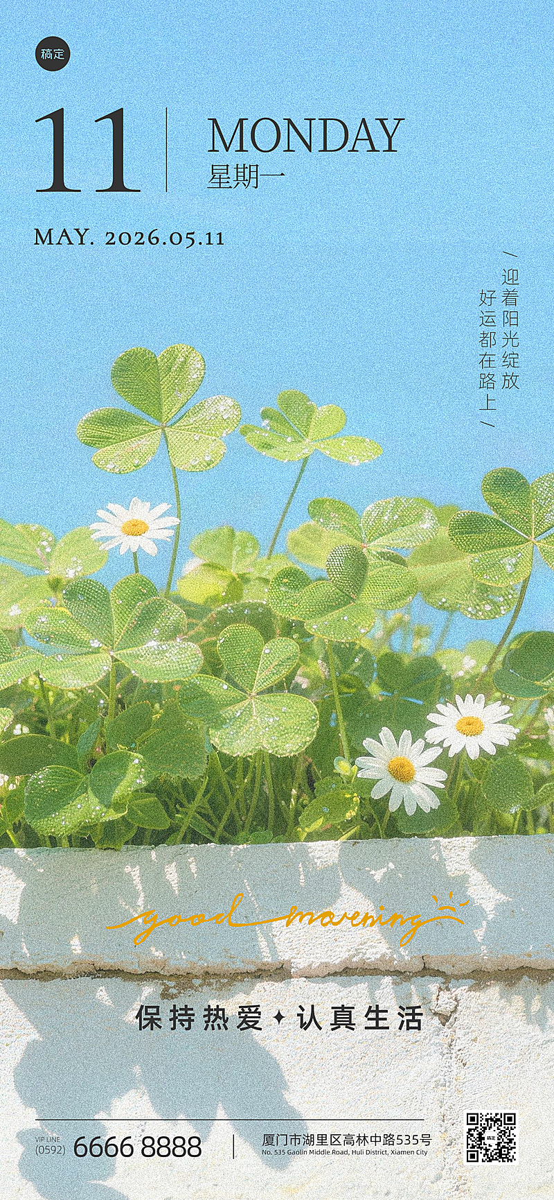 早安日签问候治愈系正能量清新风小雏菊幸运草朋友圈全屏竖版海报