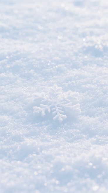 纯净的雪地背景，呈现出细腻而均匀的白色雪花纹理，整体风格干净简约，光线柔和，营造出宁静而清爽的氛围，适合作为背景使用。预览效果