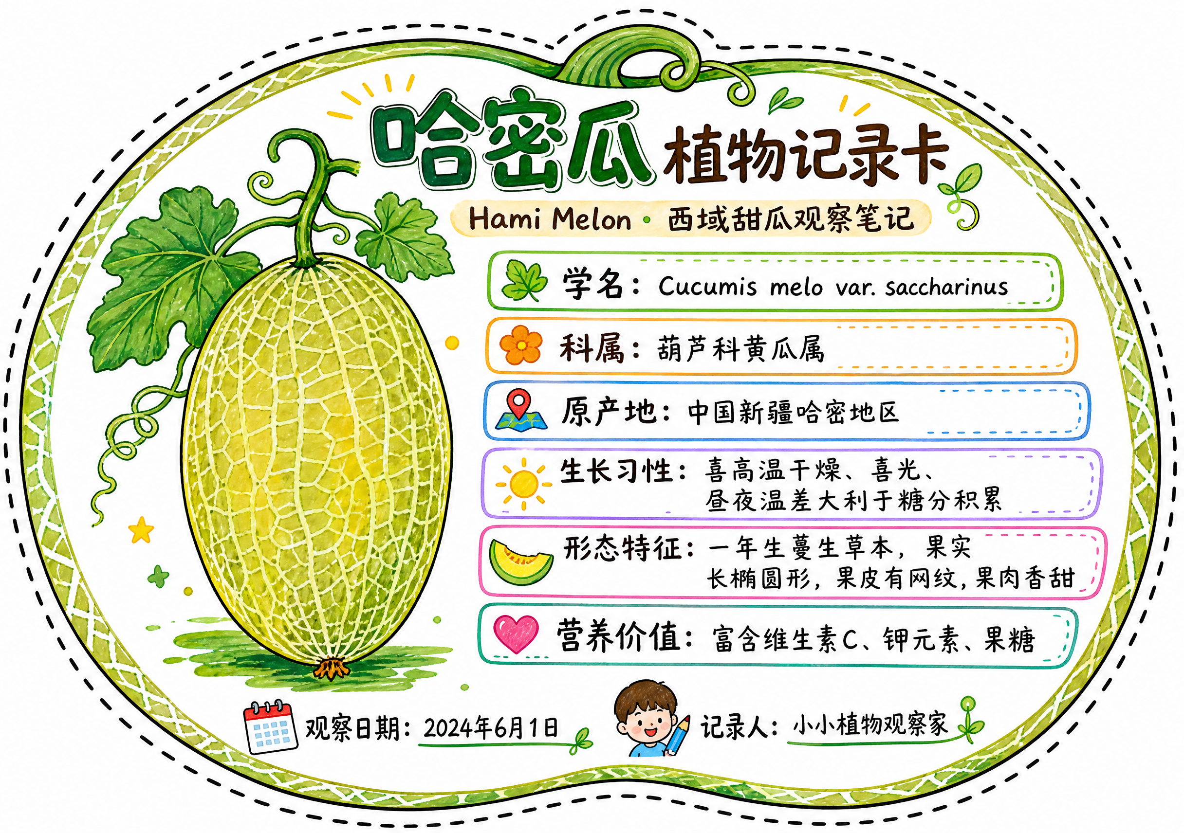 一张哈密瓜异形植物记录卡，整体为哈密瓜轮廓造型，沿哈密瓜外轮廓… - 图片创意预览