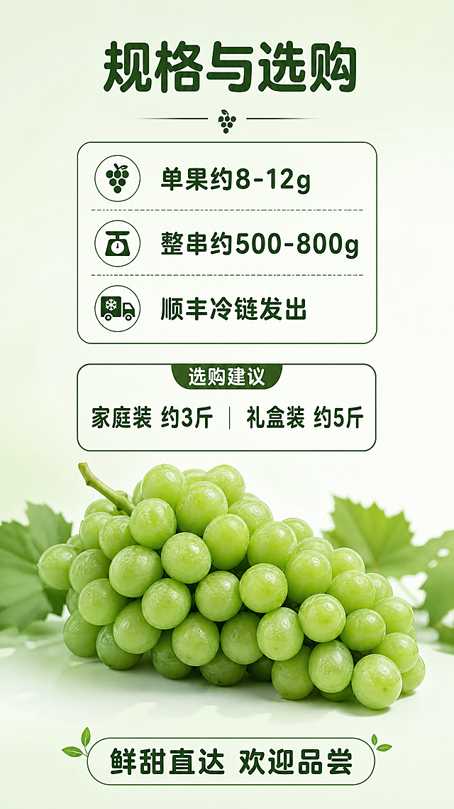 [第8屏] 规格信息与收尾屏，展示产品规格并做购买号召。本屏使用【图1】葡萄作为底部装饰元素。[氛围/风格] 干净信息展示，收尾收束氛围，明亮通透。[元素布局] 上半部分为规格信息，文字和参数排版整齐，下半部分放置一串完整葡萄做装饰，保持【图1】形态颜色，前景加入简约品牌 slogan 文字区域，背景浅绿渐变。[光影质感] 均匀柔和布光，信息区域明亮易读，底部葡萄自然真实。[配色色系] 全局底色：#F2F9F0；主体葡萄#A5E988，文字#2C5F2D。[视角构图] 上信息下产品，上下构图，中心对齐，简洁大方。[文字版式] 使用圆角黑体标题字，字色仅深绿色一种，纯色填充字效，延续首屏风格。顶部大标题 "规格与选购"，规格信息："单果约8-12g 整串约500-800g 顺丰冷链发出"，选购建议："家庭装 约3斤 ｜ 礼盒装 约5斤"，底部收尾 slogan "鲜甜直达 欢迎品尝"，所有文字排版整齐不遮挡葡萄主体。整体9:16竖版比例，分辨率4K，文字清晰可辨，超高清。[负向提示词] 参数错误，葡萄变形颜色不对，文字错乱，水印，诱导性按钮。