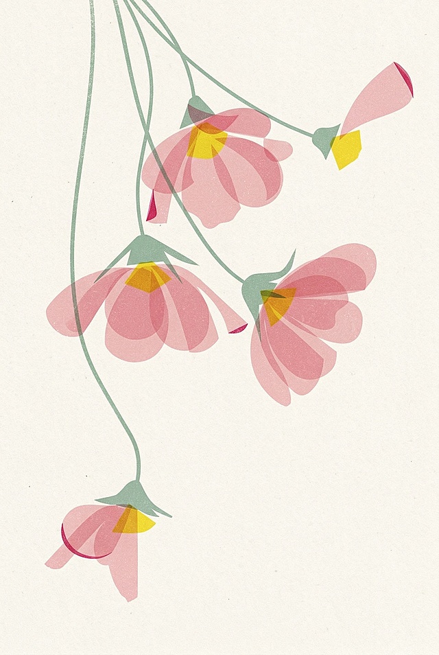 将图片中的格桑花转化成扁平插画风格，现代极简几何风格，融合risograph印刷质感和现代包豪斯主义理性线条，图像高度概括，强调色彩与形状的构成关系，带有复古印刷的颗粒质感