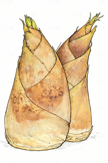 把图片转化为手绘插画预览效果