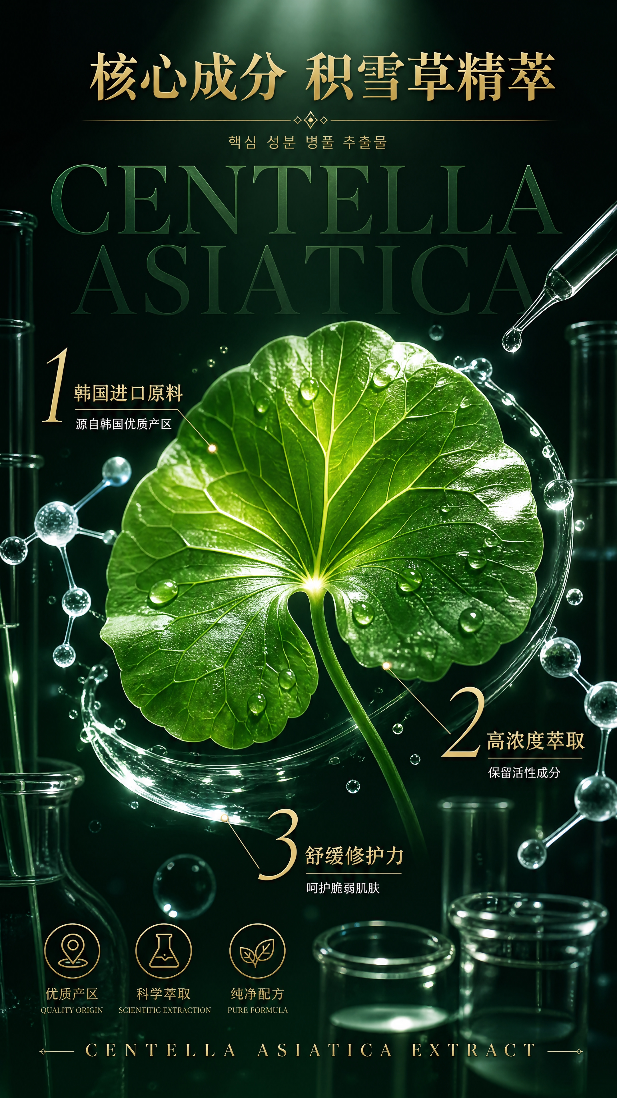 [第3张] 核心成分专页 - 积雪草+韩国进口原料深度解析。成… - 图片创意预览