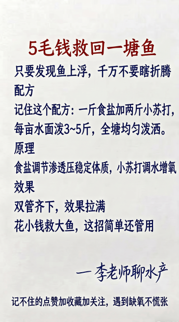 米白色背景，参照原图的字体和颜色排版，替换内容为以下文字一字不差：大标题红色：5毛钱救回一塘鱼，正文深蓝色：只要发现鱼上浮，千万不要瞎折腾
配方
记住这个配方：一斤食盐加两斤小苏打，
每亩水面泼3~5预览效果