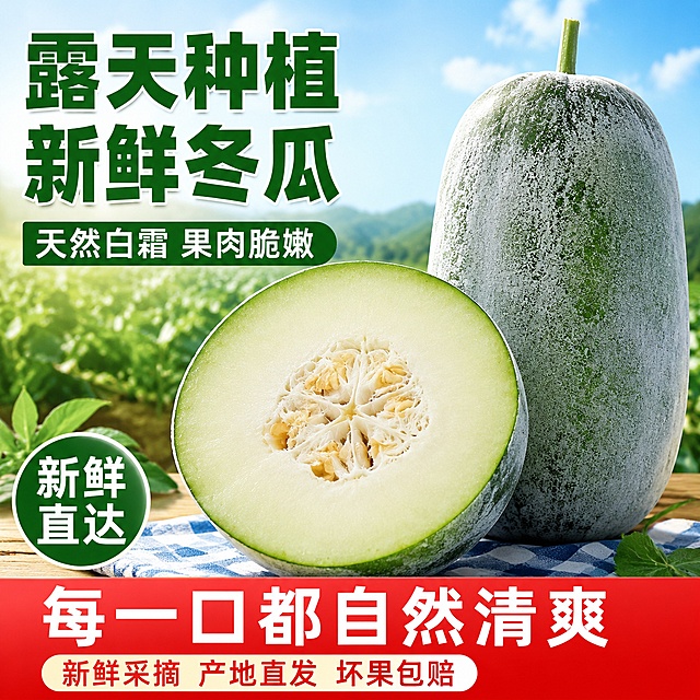 [主图1] 新鲜带霜露天冬瓜商品首图，拼多多平台爆款风格
[氛围风格] 新鲜接地气的生鲜果蔬风格，食欲感强，高饱和色彩，大字突出卖点
[画质] 商业生鲜摄影质感，光线自然通透，产品清晰真实，画面干净饱满
[元素] 画面右侧展示完整带白霜的冬瓜和切开的半颗冬瓜，完整冬瓜保留自然白霜表皮特征，切开的冬瓜展示脆嫩翠绿果肉和中心籽瓤，商品主体占比严格控制在65%左右，画面满屏无边框，背景融入清新户外菜地氛围，左下角搭配木质餐桌和格纹餐布增加生活感
[光影] 自然户外暖阳逆光，突出冬瓜果肉的翠绿色泽与通透感，光线柔和均匀，高光不溢出，暗部有层次，整体通透不灰蒙
[配色] 主色调为冬瓜自然翠绿，搭配暖木色餐桌与浅蓝天空，高饱和对比增强视觉冲击力
[视角构图] 平视正面构图，主体突出，前中后景层次分明，产品轮廓完整不裁切
[文字版式] 画面左上角负空间左对齐留安全边距，不遮挡产品主体，主标题大字写"露天种植 新鲜冬瓜"，用最大号绿色粗体无衬线字体，对比强烈清晰可读。主标题下方绿色条幅写卖点"天然白霜 果肉脆嫩"，白色字体，字号为主标题的二分之一。左下角圆形标签写"新鲜直达"，深绿底白字，底部红色通栏配白色大字写"每一口都自然清爽"，再下方小字标注"新鲜采摘 产地直发 坏果包赔"
[输出要求] 1:1 比例，文字清晰锐利，超高清商业生鲜摄影质感
[负向提示词] 变形，文字错乱，产品图模糊，背景杂乱，水印，电商平台Logo