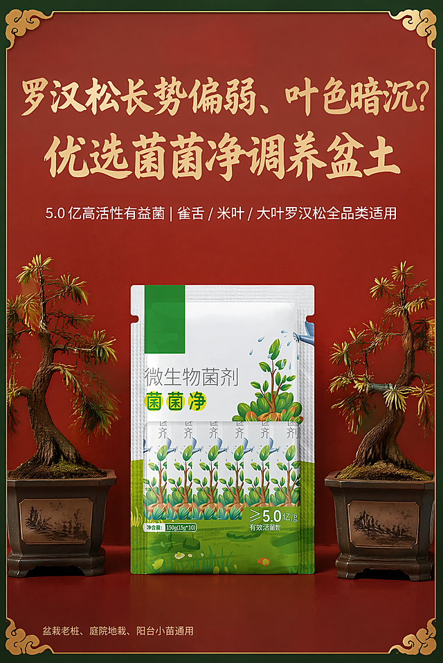 [第1屏] 罗汉松菌菌净首屏KV主视觉痛点引入，本屏使用【图1】作为产品包装袋主体。
[氛围/风格] 国风书法质感，中式盆景养护海报，商业平面设计，清晰干净，文字辨识度高。
[元素布局] 上下分割构图，上半区为文字信息区，下半区为产品实景区。产品包装袋放在下半区居中C位，保持包装袋的物理结构、材质质感、颜色文字与输入产品图完全一致。包装袋左右两侧各搭配一盆弱态罗汉松盆景作为氛围配图，对称布局。整个屏幕背景为朱砂红底色，无白色内容块，内容直接铺在底色上。8px深墨绿粗边框，四角点缀淡金色祥云纹样。
[光影质感] 整体光线均匀柔和，文字和主体产品清晰突出，阴影自然，色彩饱和度适中，边缘清晰。
[配色色系] 全局底色：朱砂红；文字配色：主标题米金色，副标题白色，备注浅灰色；边框深墨绿，点缀淡金色祥云。
[视角构图] 正面平视构图，上下分割合理，阅读动线从上到下，主体产品居中稳定。
[文字版式] 上区主标题"罗汉松长势偏弱、叶色暗沉？优选菌菌净调养盆土"，采用米金书法大字，居中对齐，字号占上区高度约35%；主标题下方为副标题"5.0 亿高活性有益菌｜雀舌 / 米叶 / 大叶罗汉松全品类适用"，白色小字，居中对齐，字号约为主标题的25%；最底部为浅灰色小字备注"盆栽老桩、庭院地栽、阳台小苗通用"，居左对齐，字号最小。所有文字不遮挡主体产品。
[比例分辨率] 2:3竖版比例，4K分辨率，文字清晰可辨。
[负向提示词] 产品变形，包装文字错乱，颜色偏差，文字模糊，水印，背景杂乱，诱导按钮，禁用词治效杀烂根克星