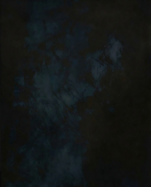 擦除画面中的花朵和花茎，只保留深色纹理背景预览效果